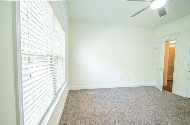 Building Photo - 1609 Lindley Ln