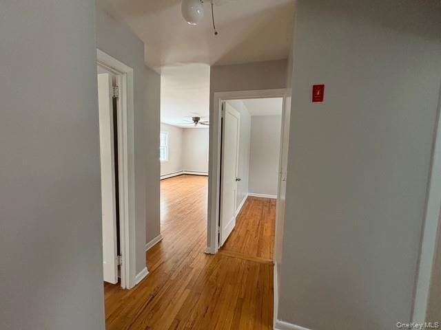 Building Photo - 10 Balder Ct