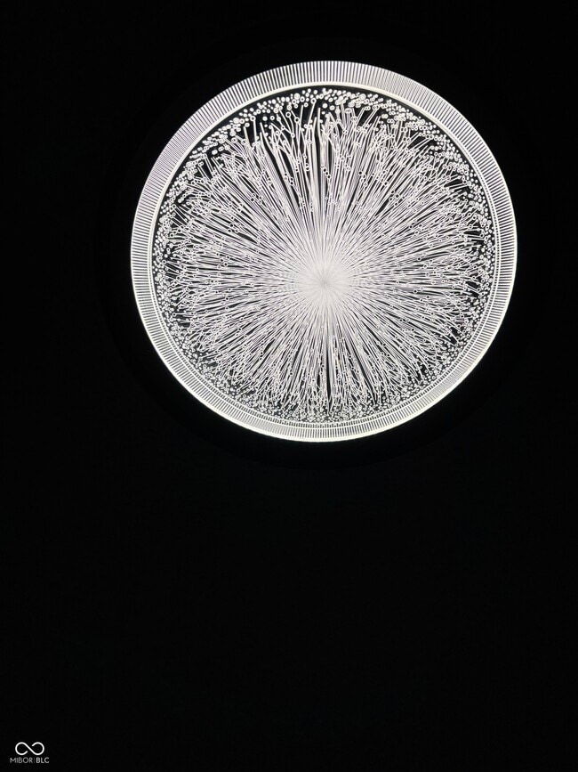 Building Photo - 1380 King Maple Dr