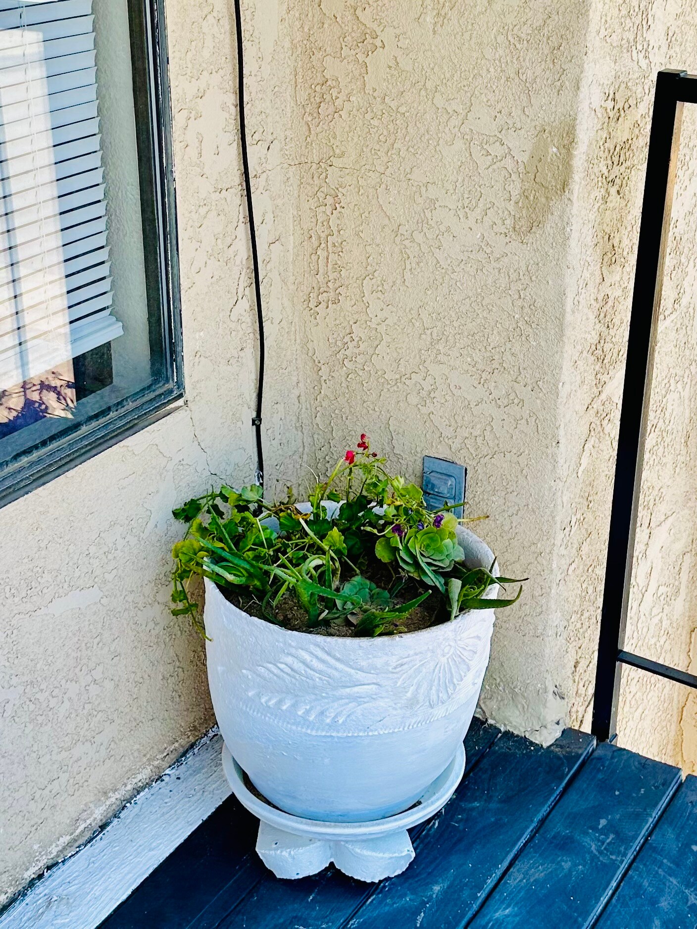 Building Photo - 6005 Hill Dale Ct