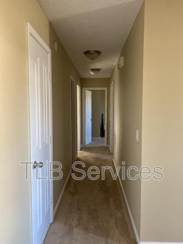 Building Photo - 211 Fall Creek Dr