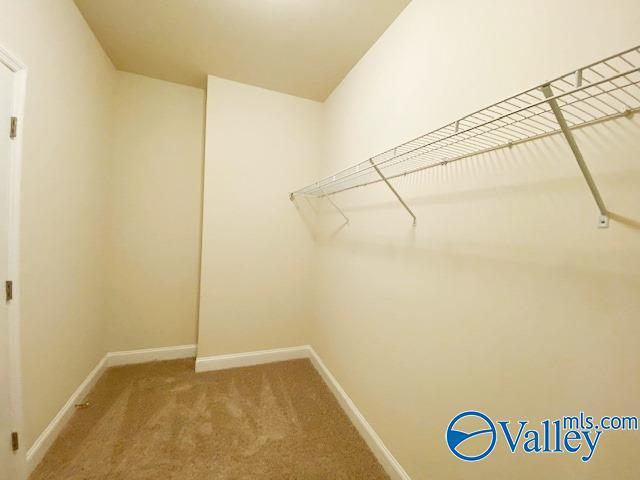 Building Photo - 110 Pointe Haven Ct