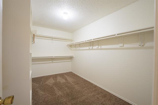 Building Photo - 183 Rolling Ct