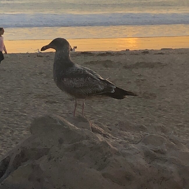 Building Photo - 4874 Thille St