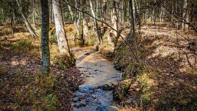 Building Photo - 212 Dogpatch Ln