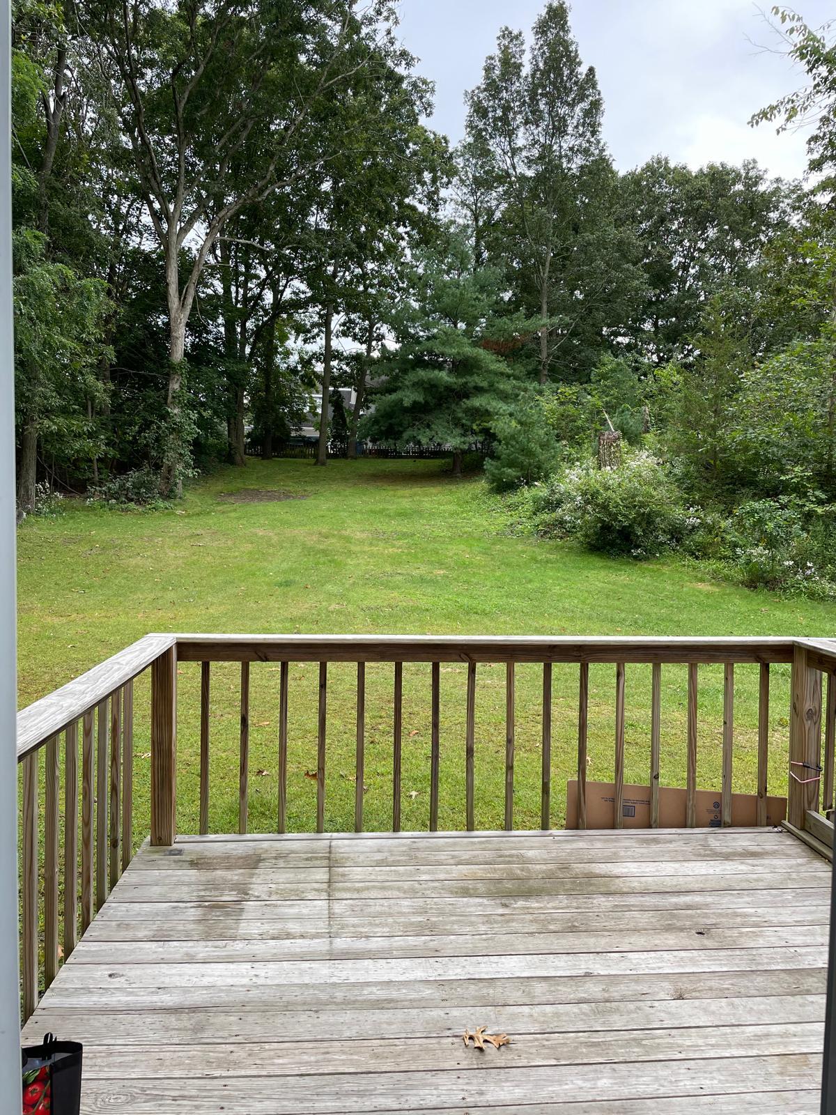 Back deck and backyard - 3 Ora Murphy Ct