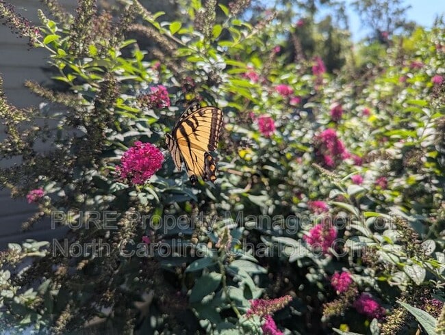 Building Photo - 1638 Academy St