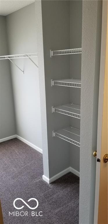 Building Photo - 14425 Black Farm Dr