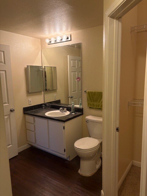 Building Photo - 2320 Gracy Farms Ln