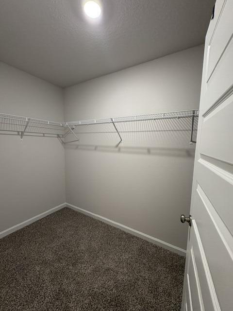 Building Photo - 2637 Saltgrass Wy