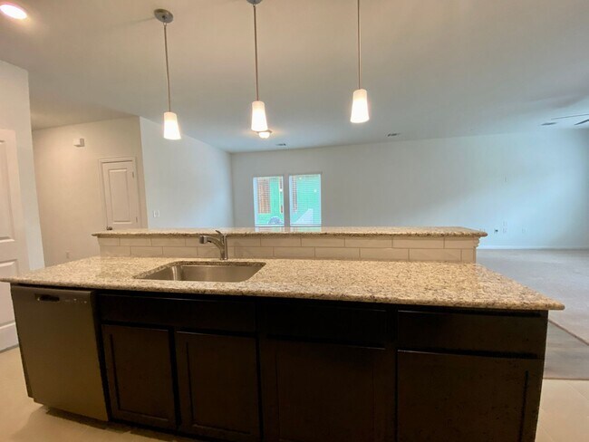 Building Photo - Stunning 4/2 Brand New Home in Kyle!