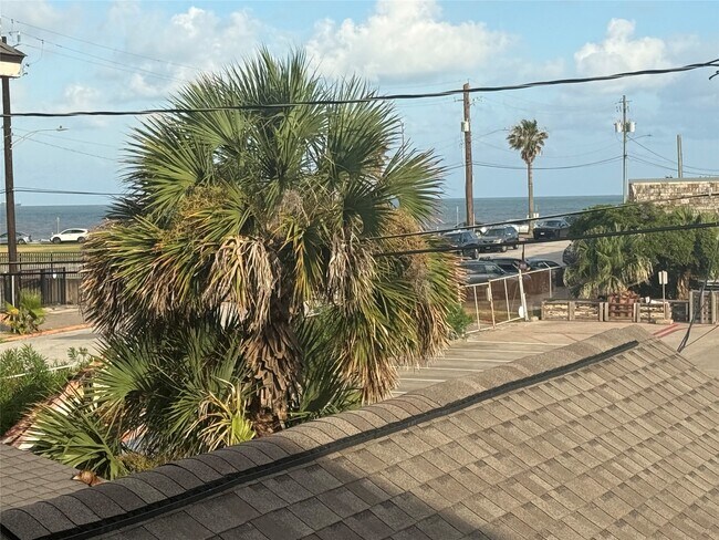 Building Photo - 2207 Bernardo De Galvez Ave