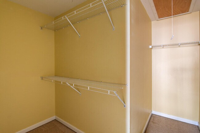 Building Photo - 3025 Brookhaven Way