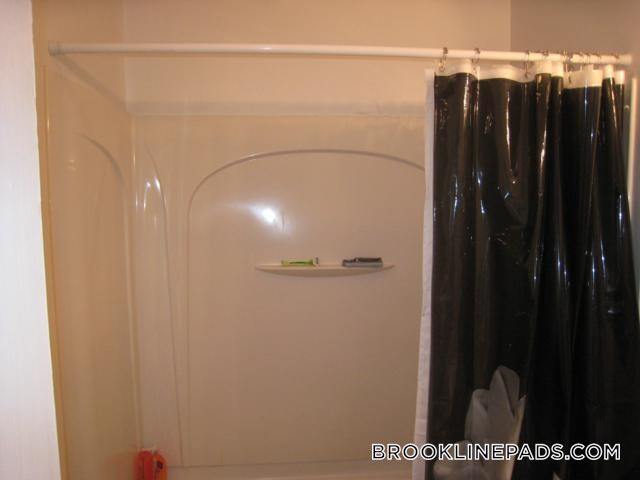 Building Photo - 66 Egmont St