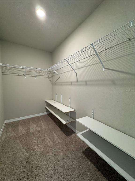 Building Photo - 2038 Harebell Ln