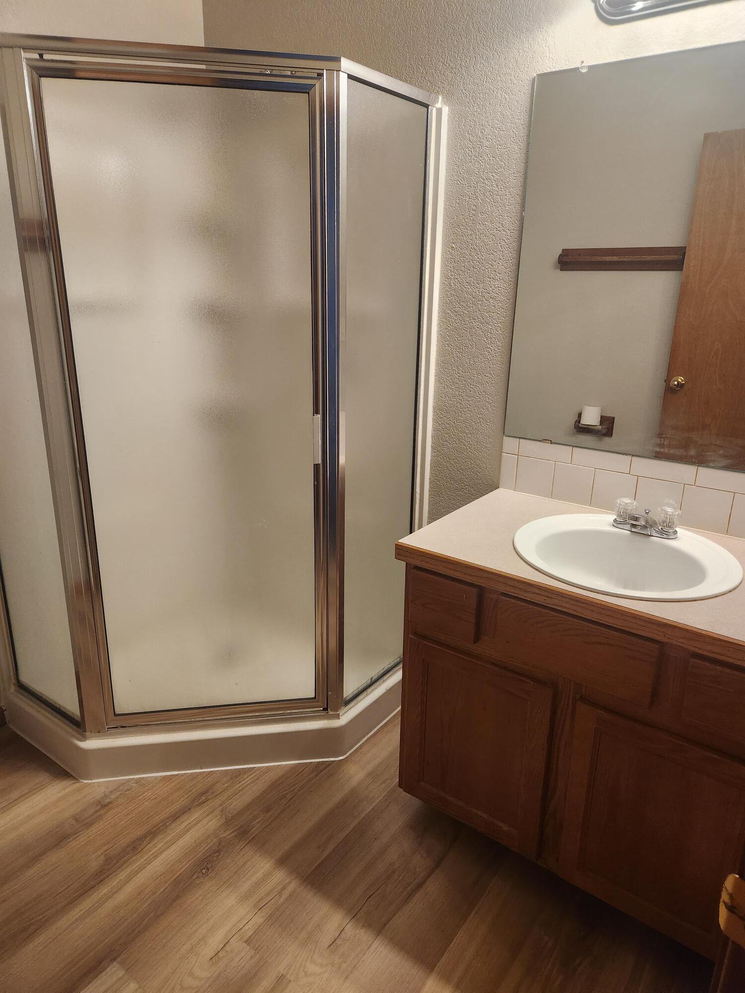 Master Bath - 1018 Winona Circle