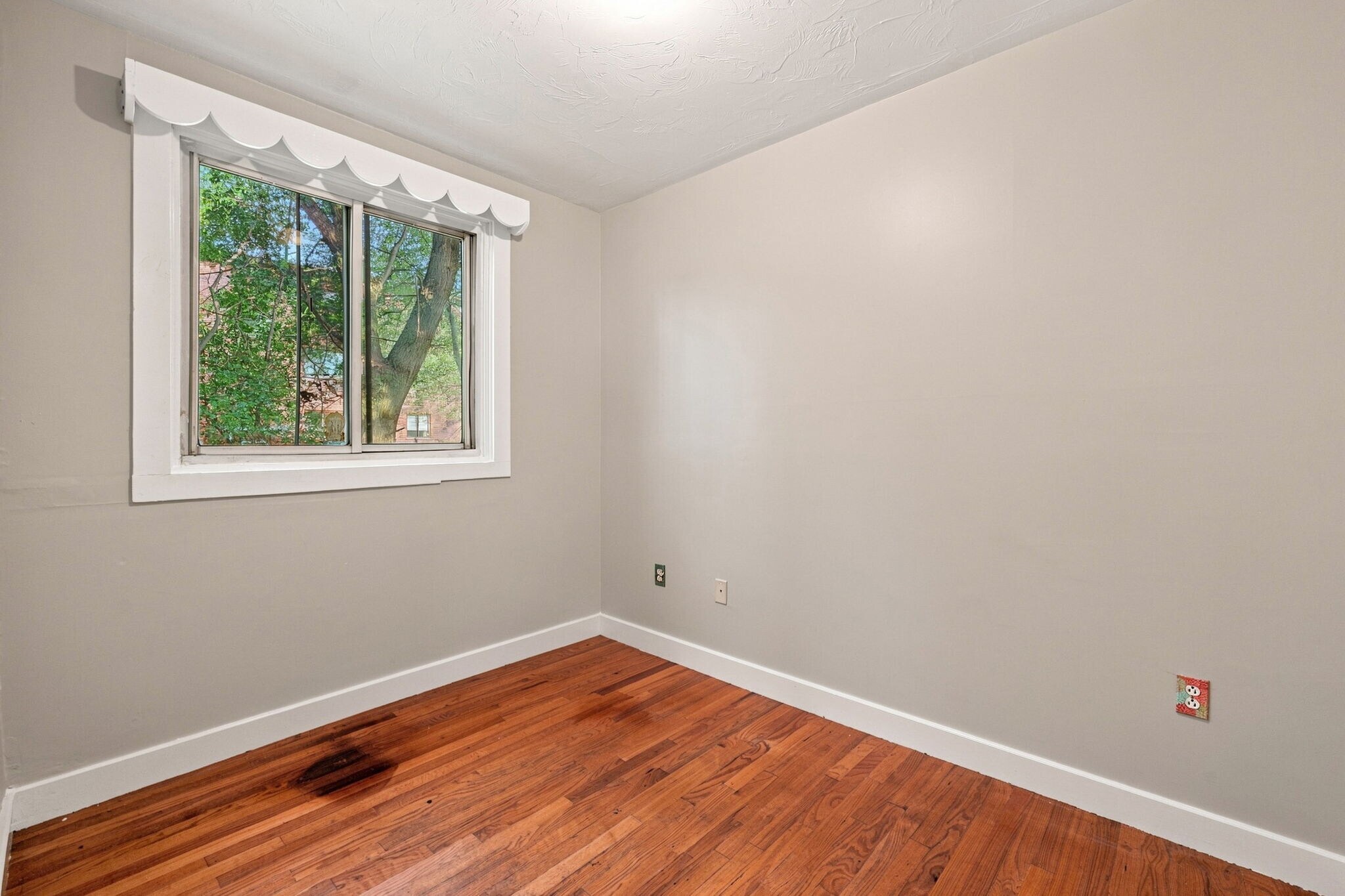 Building Photo - 147 Murdock St