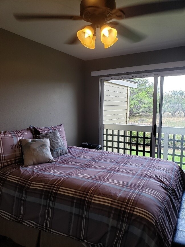 Building Photo - Beautiful Fully Furnished Condo