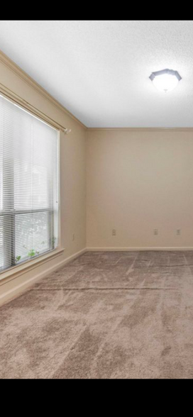 Building Photo - 5668 Los Gatos Dr