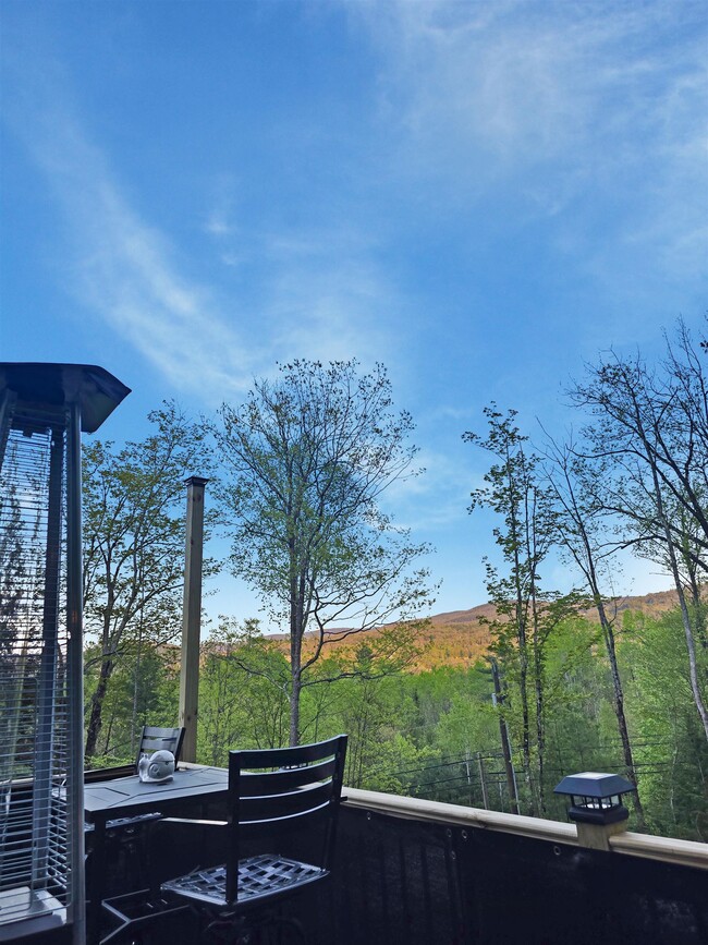 Building Photo - 253 Upper Mad River Rd