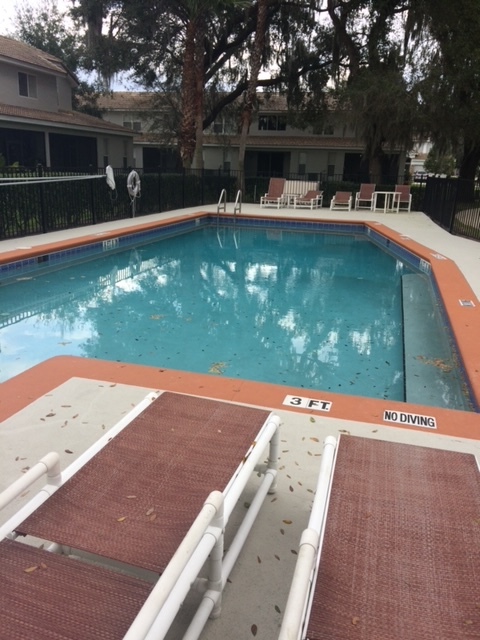 POOL - 190 Chippendale Ter