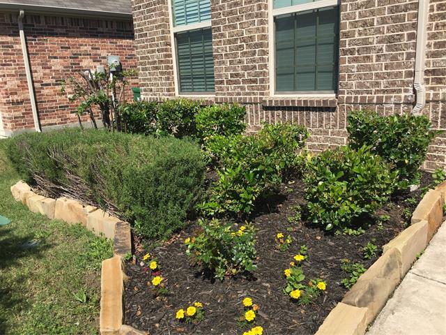 Building Photo - 620 Calliopsis St