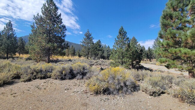 Building Photo - 3 Bedroom Home with Mountain Views Bordering National Forest