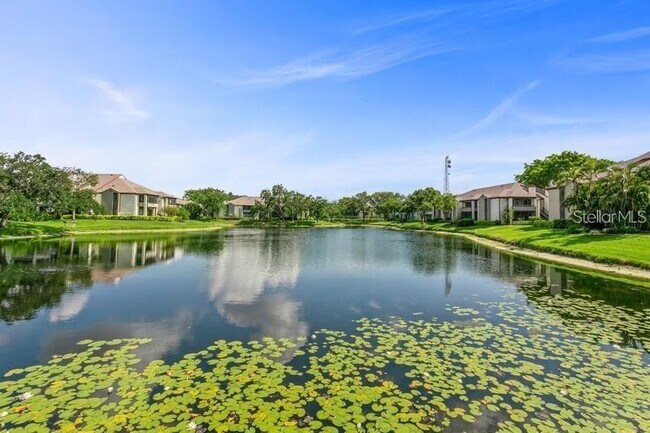 Building Photo - 10263 Gandy Blvd N