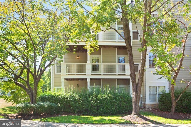 Building Photo - 1704 Lake Shore Crest Dr