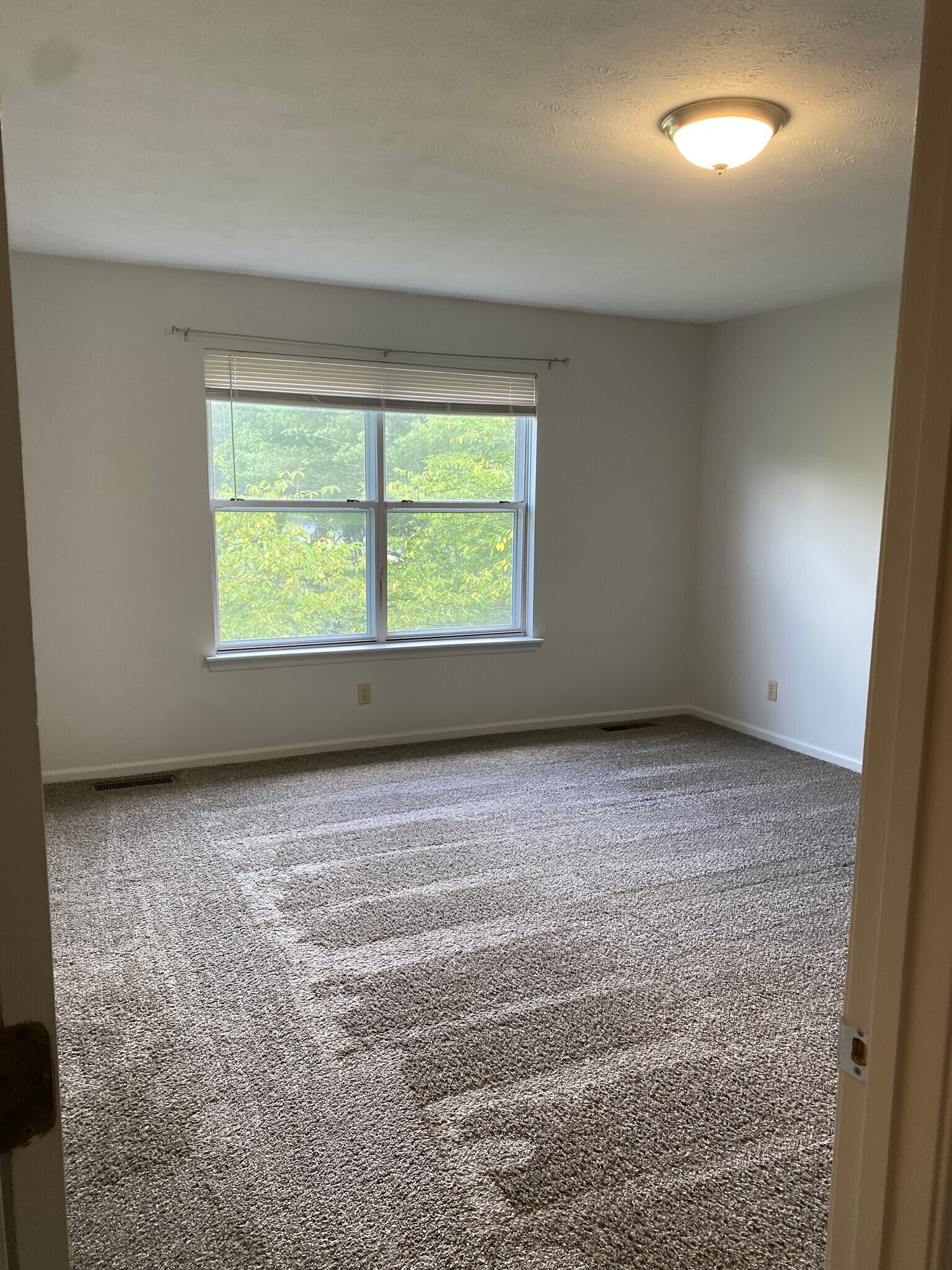 Building Photo - 506 Deer Lick Pl