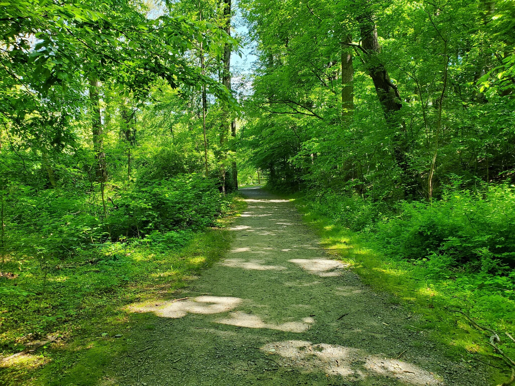 Building Photo - 3152 Bayswater Ct