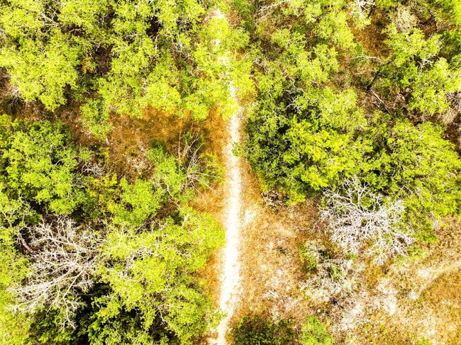 Building Photo - Charming 4-Bedroom Sanctuary - Spacious Living Awaits