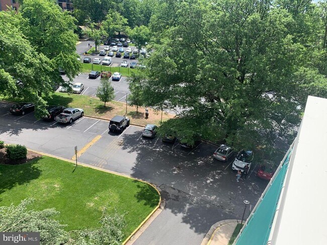 Building Photo - 6141 Leesburg Pike