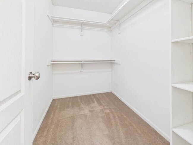 Building Photo - 703 Iron Horse Dr