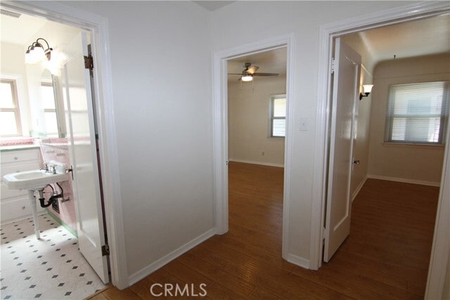 Building Photo - 431 N Olive Ave