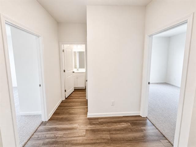 Building Photo - 3008 Lacebark Ct