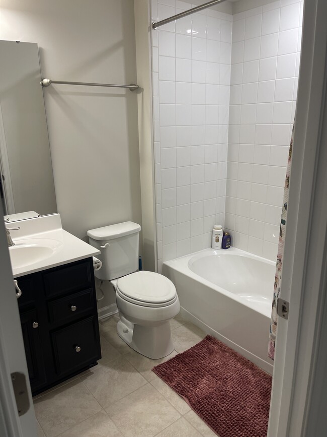 Full Bath in basement - 1565 Emily Ct