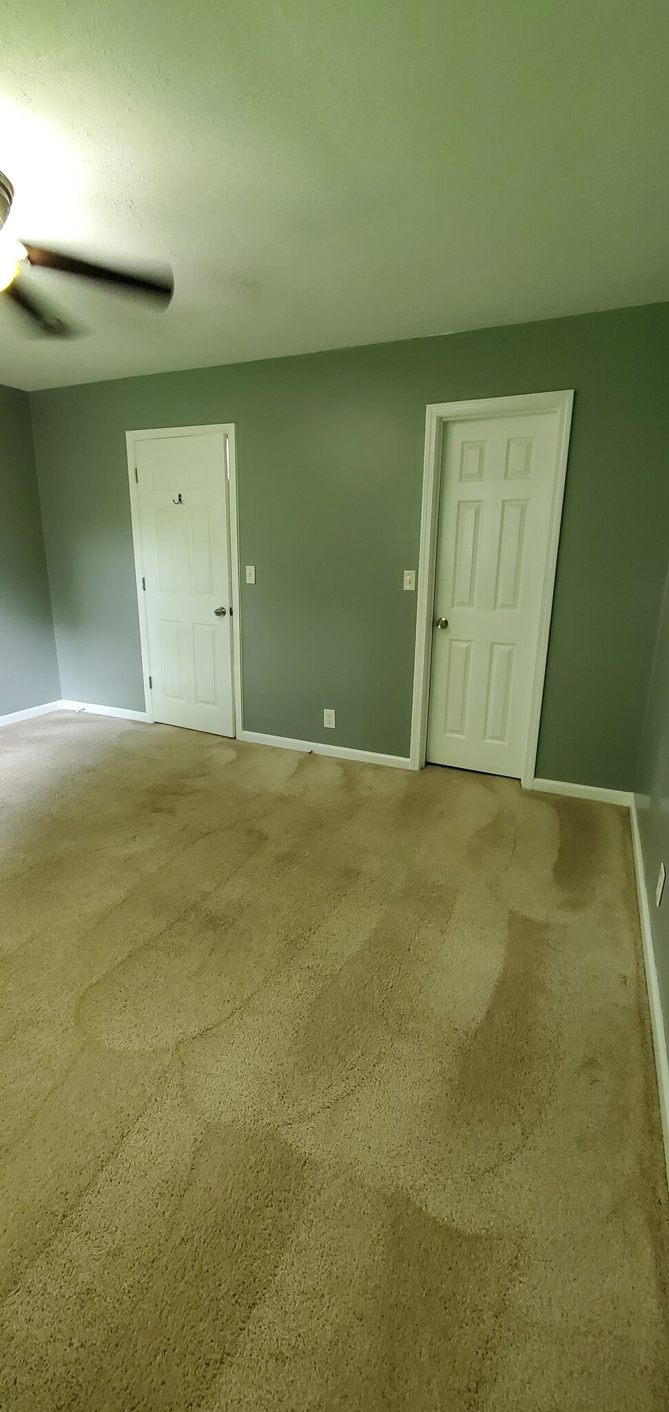 Master bedroom with door to hallway and door to walk in closet. - 313 Britanna Dr
