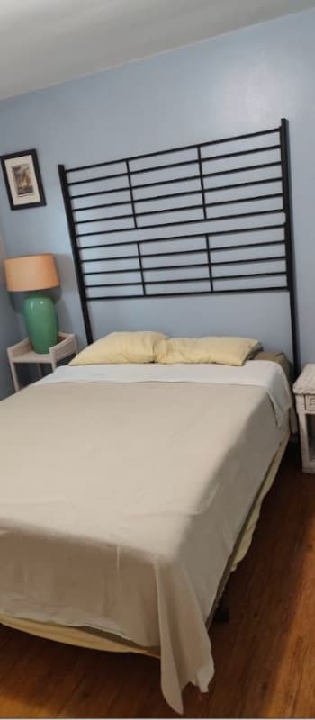 Building Photo - 536 W 39th St