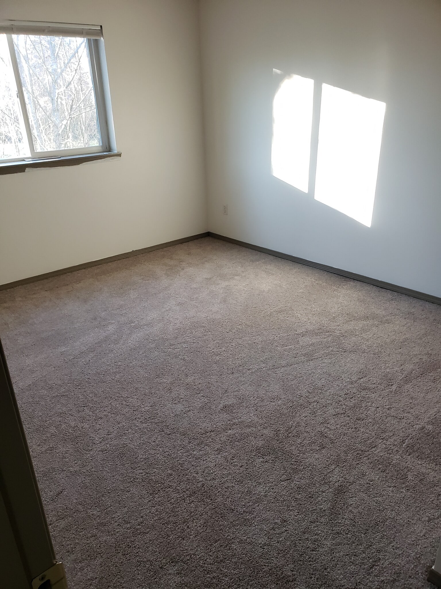 large lightfilled room - 504 Alder Plz