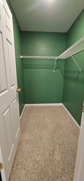 Walk In Closet - 192 Greystone Dr
