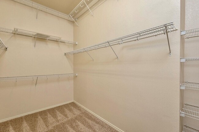 Building Photo - 30306 Castle Forest Dr