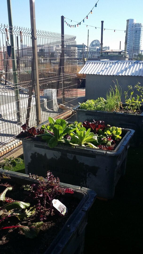 Building Photo - Top Floor Studio in the Community@ Carnegi...