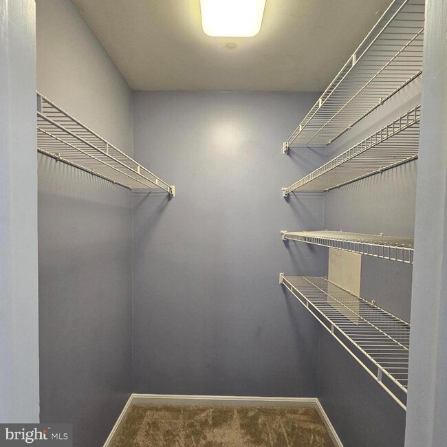 Building Photo - 8202 Catbird Cir