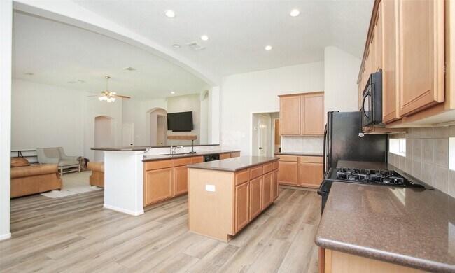Building Photo - 11418 Ruby Canyon Ln