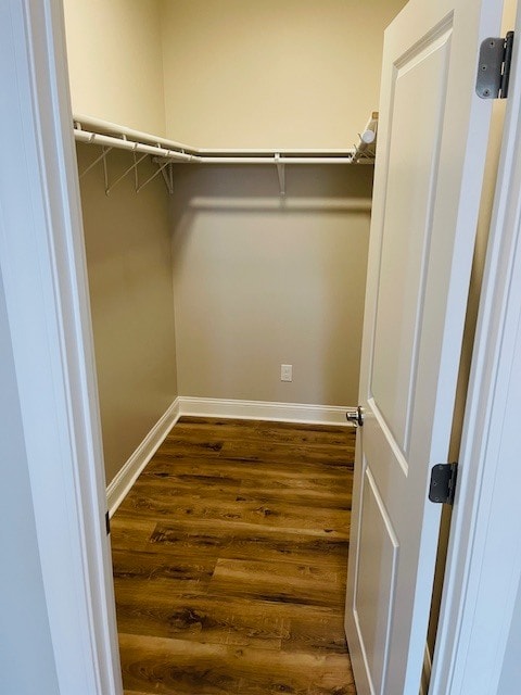 Building Photo - 2903 Newport Cir