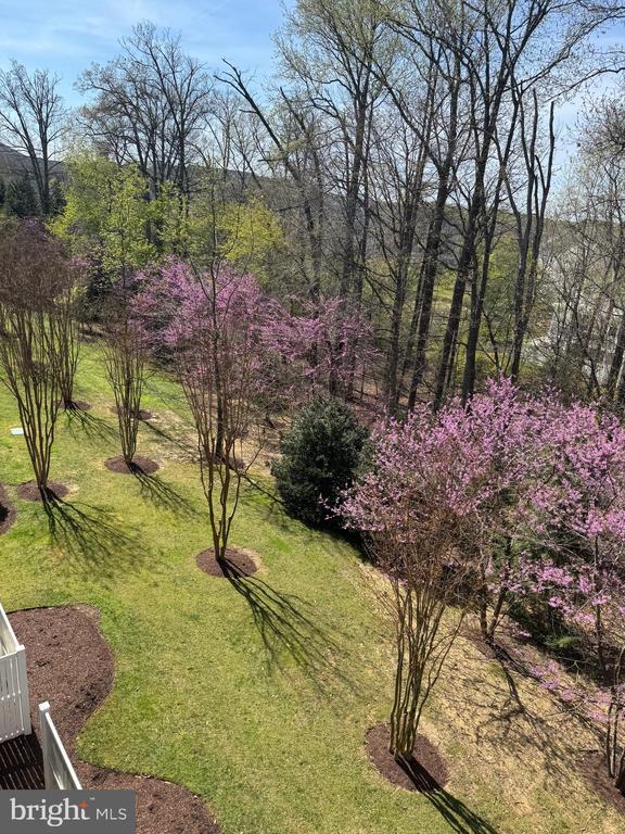 Building Photo - 2604 Chapel Lake Dr