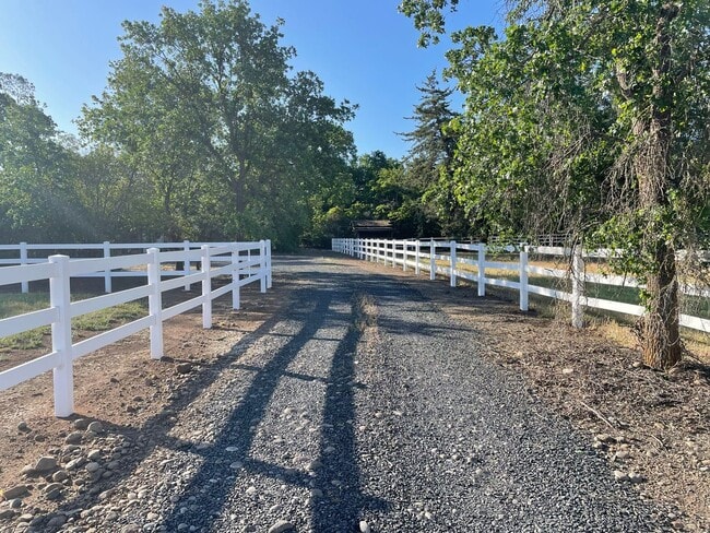 Building Photo - Cozy and convenient, private location, Cot...