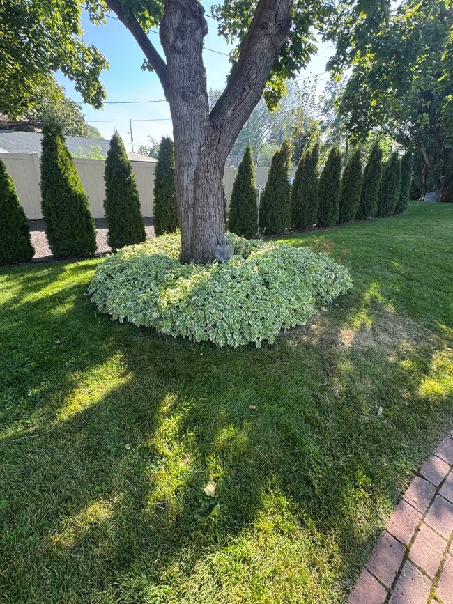 Building Photo - 4120 E Congress Ave