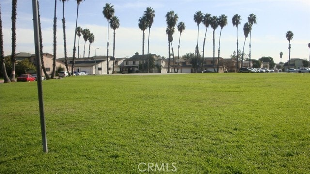 Building Photo - 31 Paradise